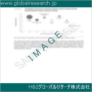 グローバルリサーチ調査資料のイメージ